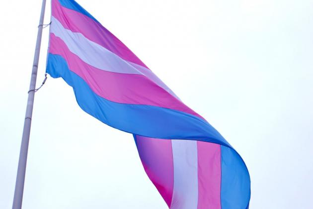 Transgender Flag