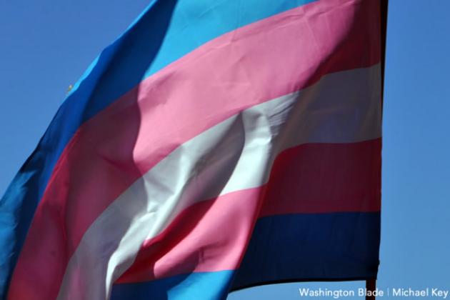 Transgender flag