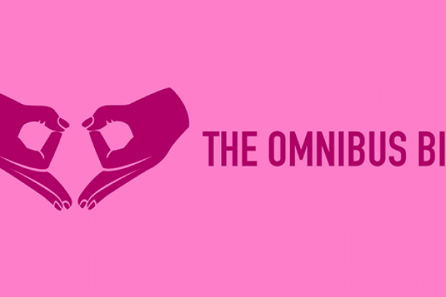 The Omnibus Bill playbill image
