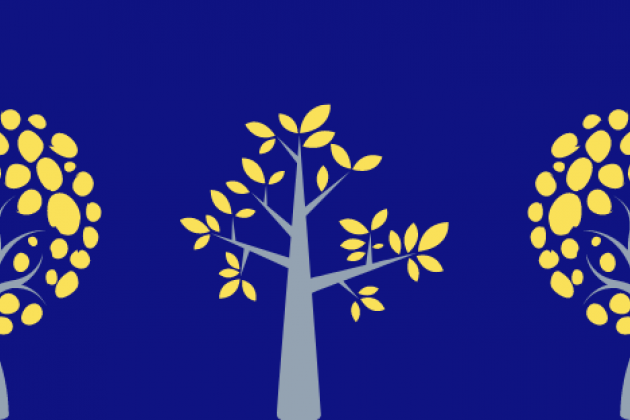 blue and yellow flowers