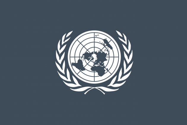 Banner with UN symbol