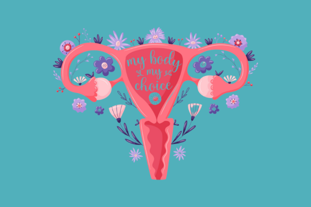 illustration of a uterus with the words "my body, my choice"