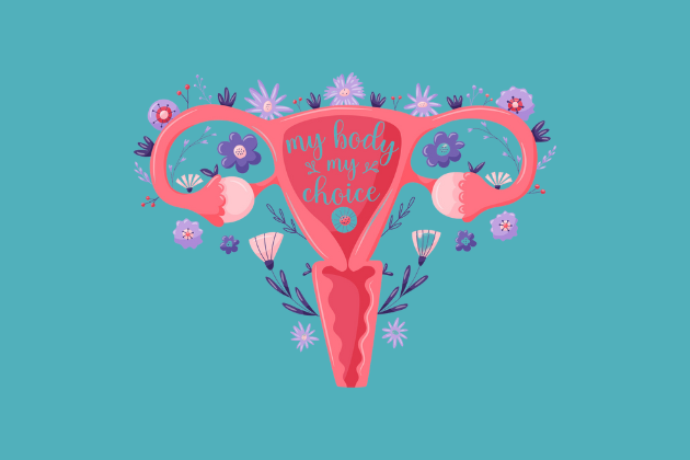 illustration of a uterus with the words "my body, my choice"