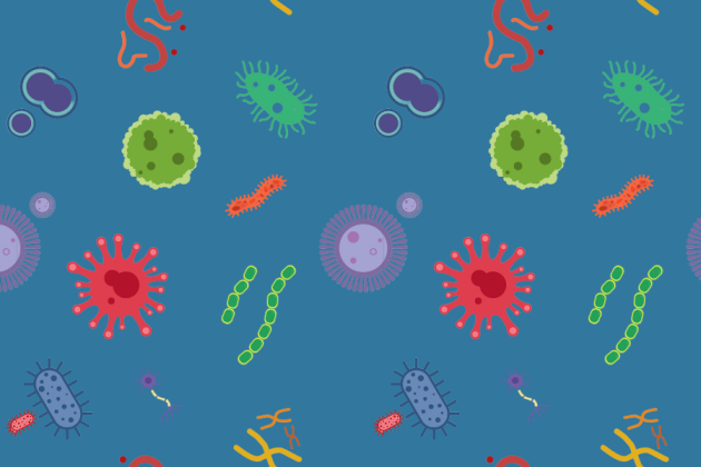 illustration of pattern of cells