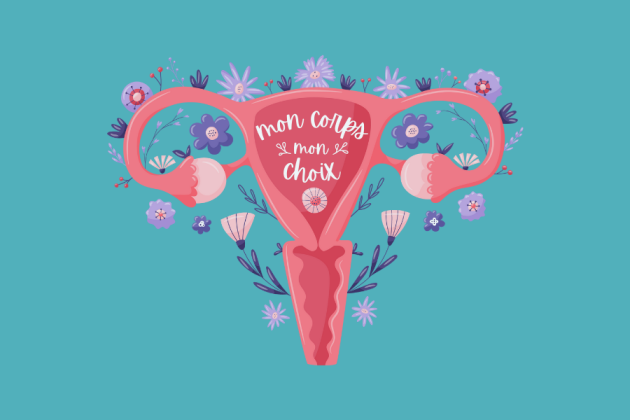 uterus illustration