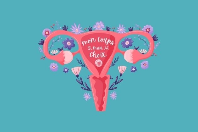 uterus illustration