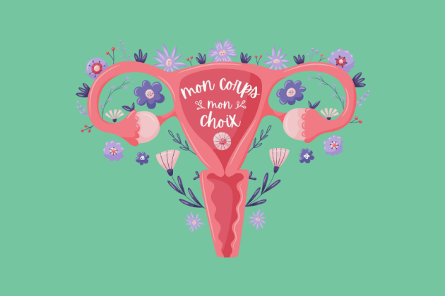 uterus illustration