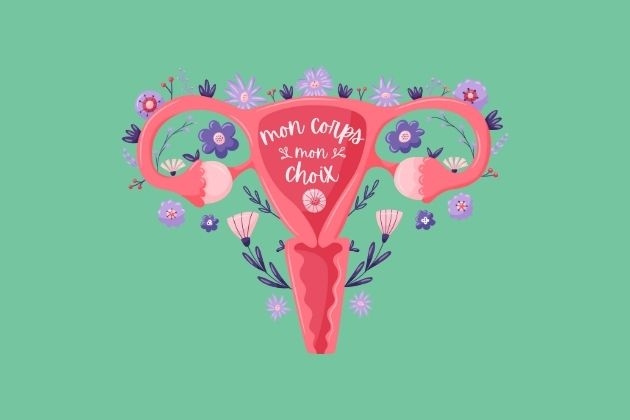 uterus illustration