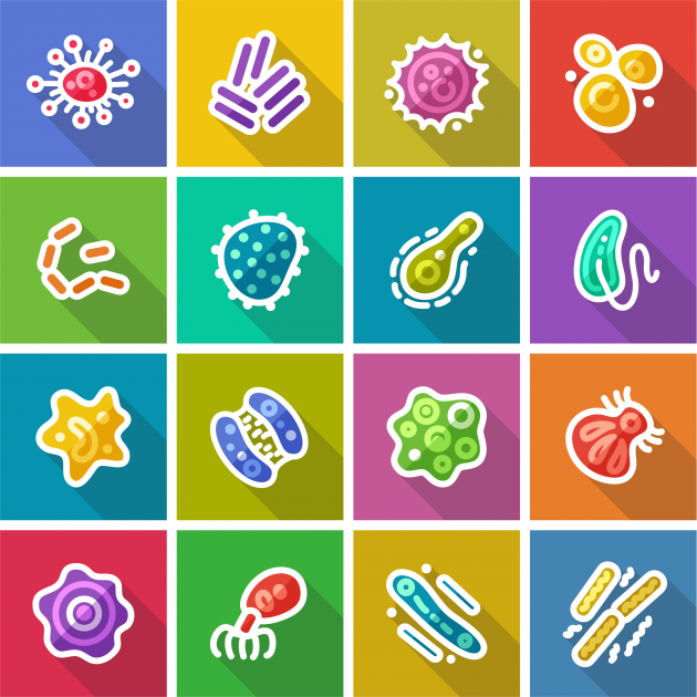 Colourful drawing of viruses and bacteria